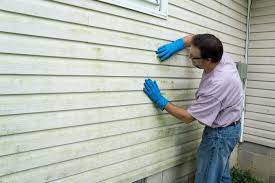 Best Vinyl Siding Installation  in Altamonte Springs, FL